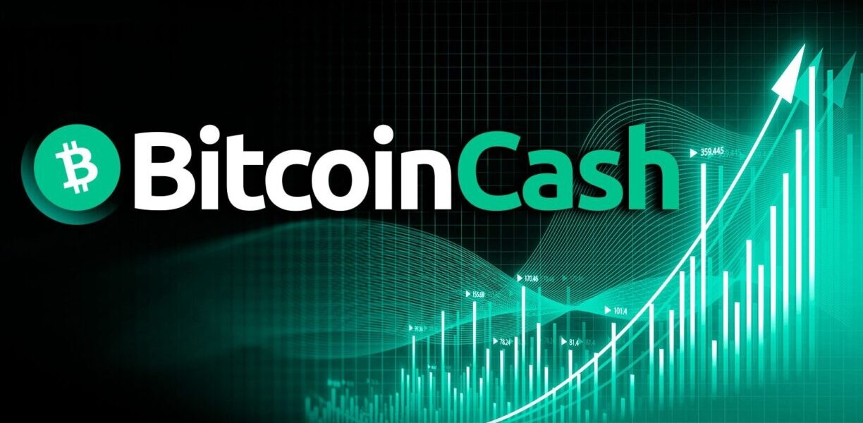 Bitcoin Cash (BCH) est-il une alternative prometteuse à Bitcoin pour 2024 ?