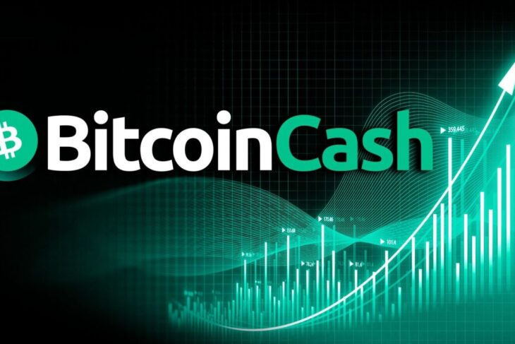 Bitcoin Cash (BCH) est-il une alternative prometteuse à Bitcoin pour 2024 ?